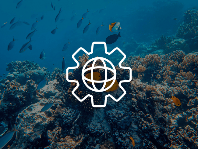 Comprendre l’écosystème client : une base essentielle pour réussir un projet digital