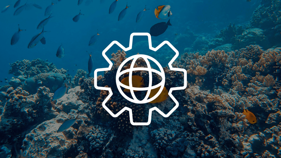 Illustration_Écosystème (1).png